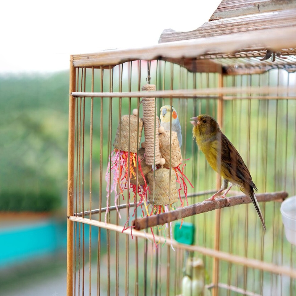 Bird Toys Bird Shredding Foraging Toys Hanging Chewing Toy Bird Cage Accessories For Lovebird Parrots Sparrows Cockatoos