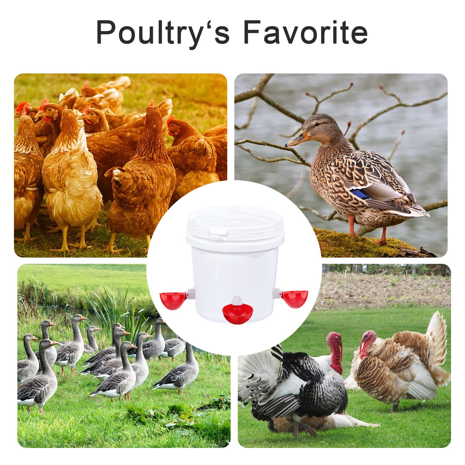 Chicken Waterer Cups 5-20 Pcs Large Chicken Water Feeder Tee Fittings Poultry Waterer Suitable for Duck Chickens Goose Drinking