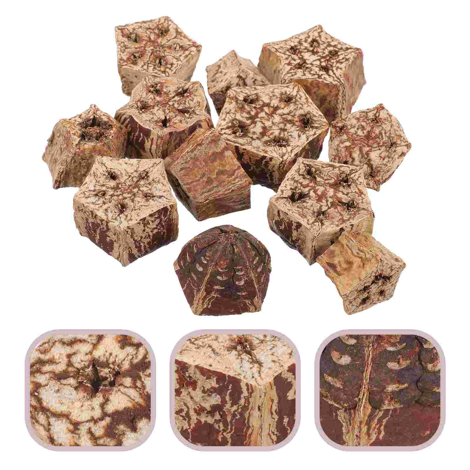 12 Pcs Bite Parrot Chewing Fruit Parakeet Cage Accessories Bird Dried Fruits Toys for Parrots