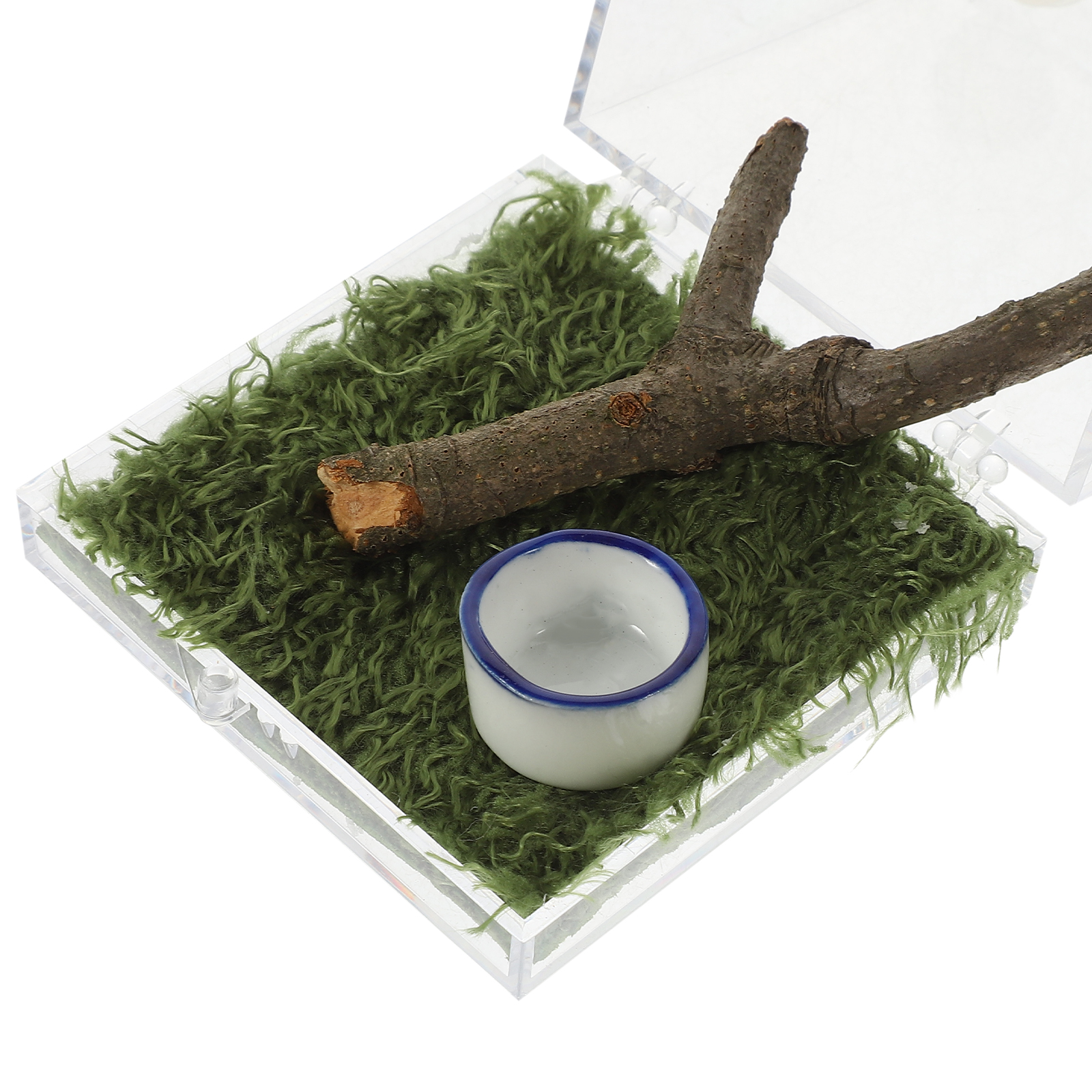 2 Pcs Jumping Spider Breeding Box Acrylic Reptile Terrarium Acrylic Snail Container Humidifier Case Insect Habitat Reptiles