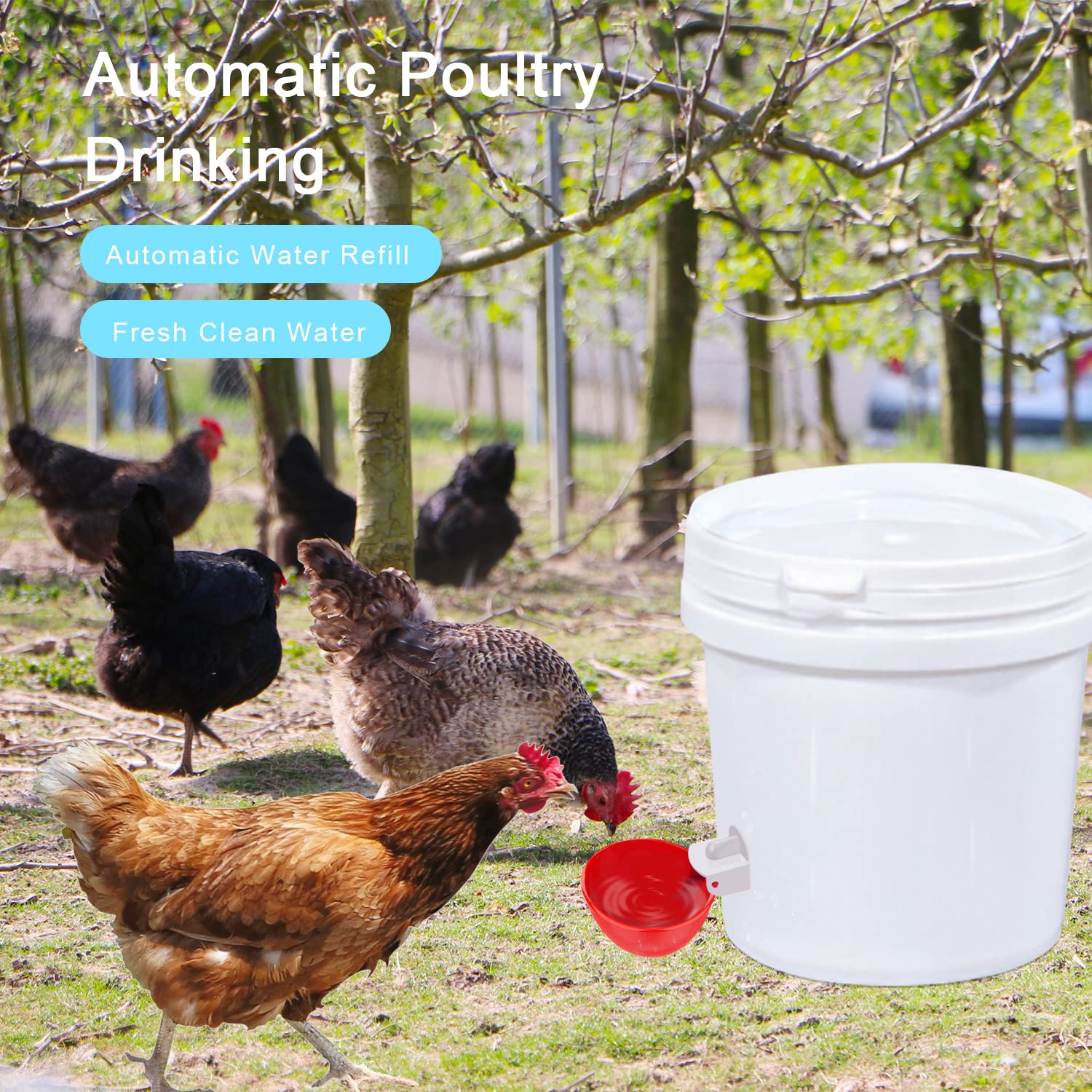 Chicken Waterer Cups 5-20 Pcs Large Chicken Water Feeder Tee Fittings Poultry Waterer Suitable for Duck Chickens Goose Drinking