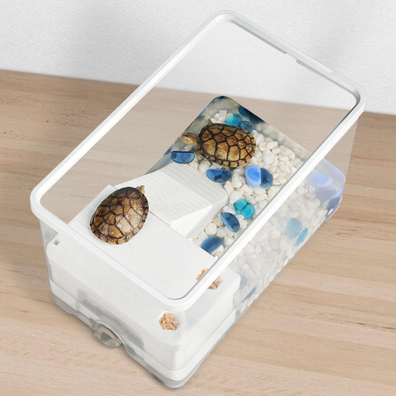 Turtle Tank Aquarium Feeding Box Full View Visually Bottom Drainage Resting Multifunctional Area Turtle Terrarium Pets Accessory