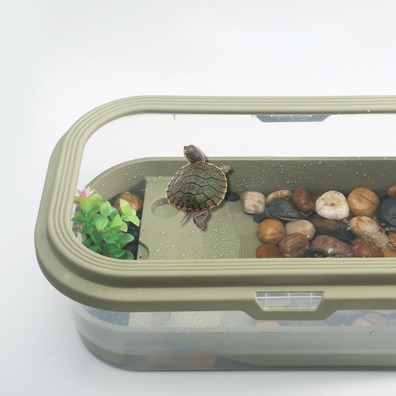 Turtle tank with sun drying platform for small turtle breeding Brazil turtle breeding box drainage basin climbing platform