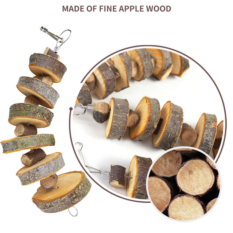 Rabbit Guinea Pig Dragon Cat Chew Toys Tooth Cleaning Toy for Bunny Hamster Tooth Grinding Set Pet Tooth Grinding Snacks