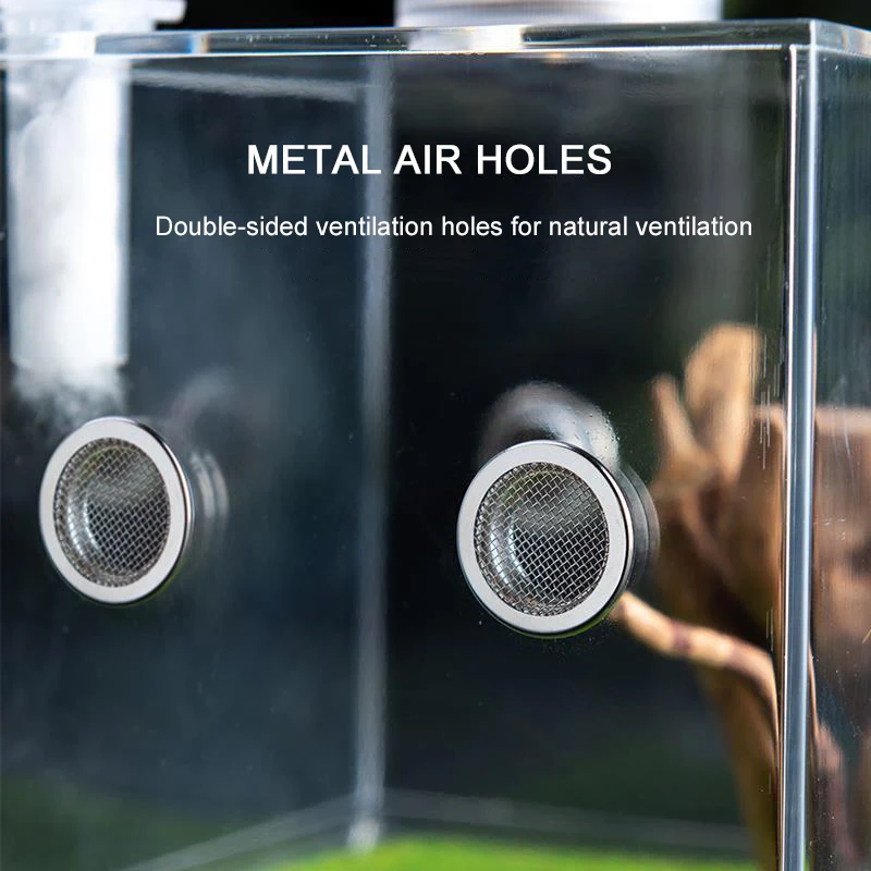 Transparent Acrylic Small Reptiles Pet Breeding Box Habitat Insect Feeding Terrarium Tank Cage Insect Jumping Spider Feed Boxs