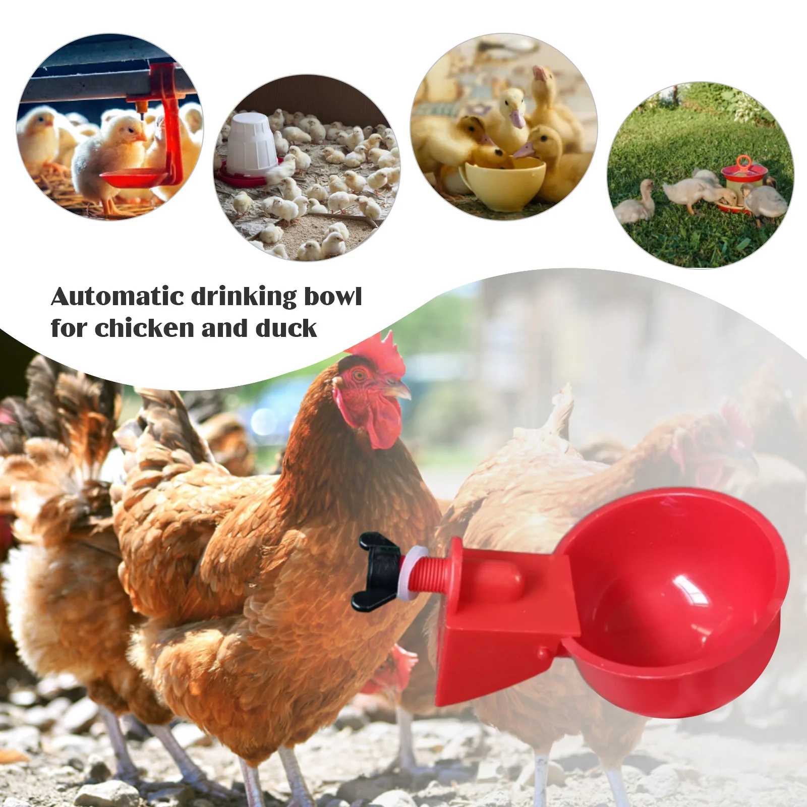 24-6Pcs Chicken Drinking Cup Automatic Duck Drinker Plastic Poultry Farm Water Drinking Cups Chicken Feeder Watering Bowl