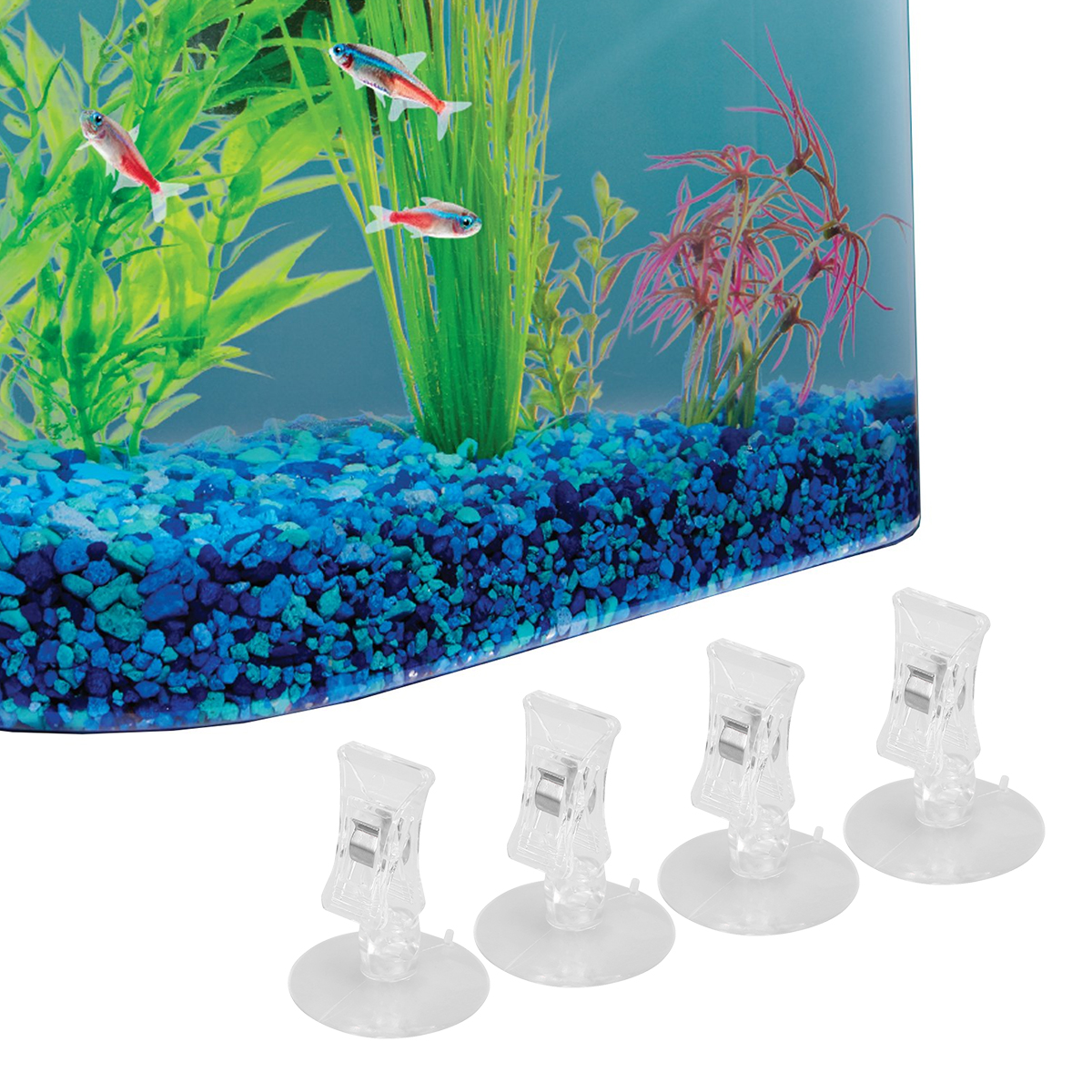 3 Pcs Feed Clip Automatic Feeder Fish Accessories for Aquarium Supplies Tank Holder Suction Cup Seaweed Feeding Tool Detergent
