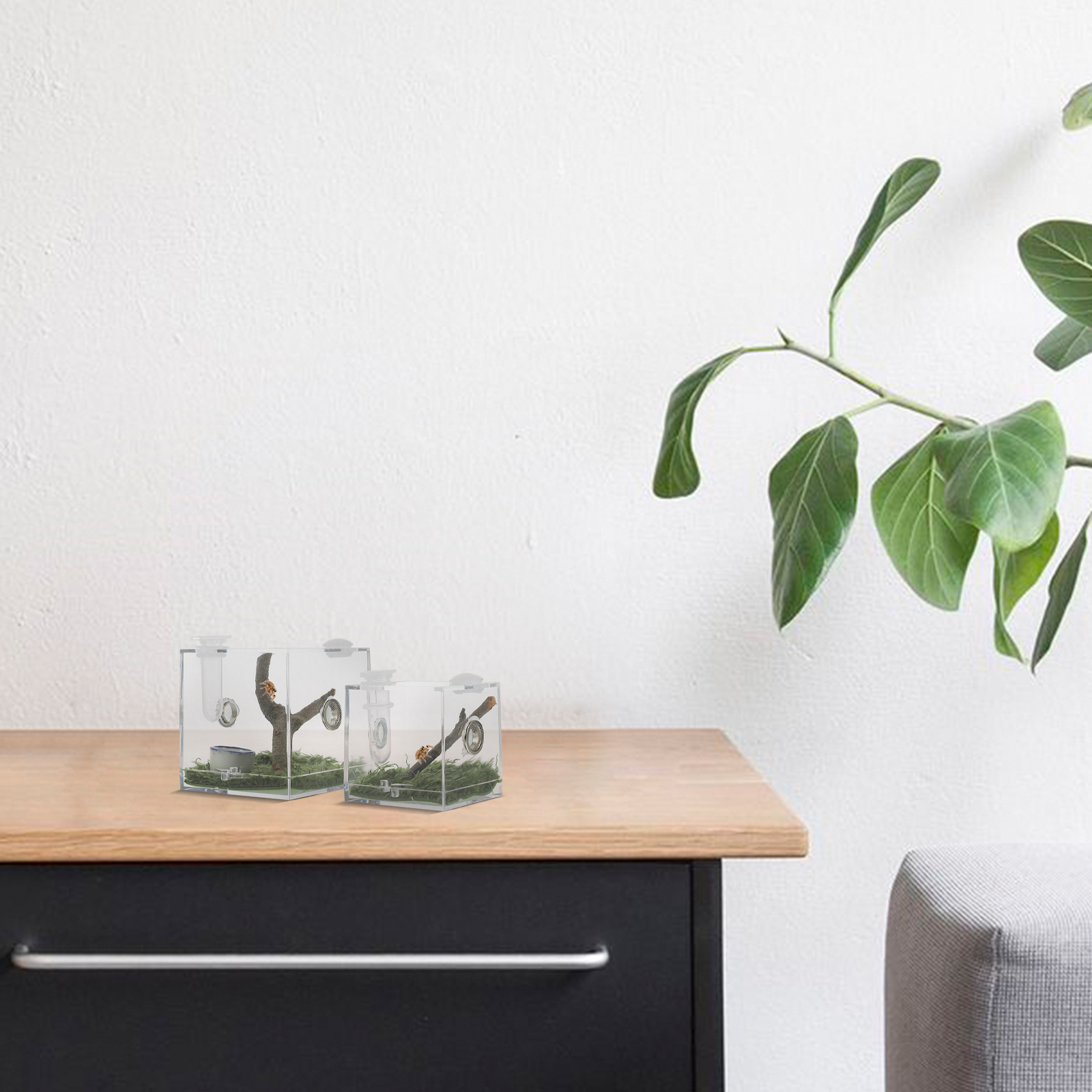 2 Pcs Jumping Spider Breeding Box Acrylic Reptile Terrarium Acrylic Snail Container Humidifier Case Insect Habitat Reptiles