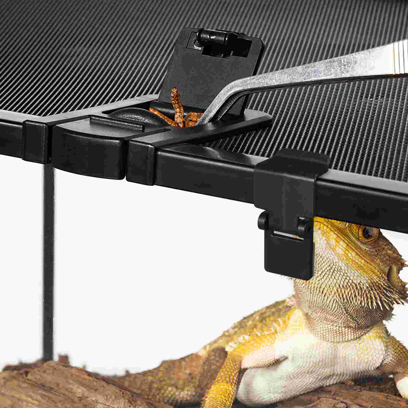 6 Pcs Cylinder Lock Turtle Glass Tank Buckle Feeding Parts Plastic Pet Supplies Terrarium Reptile Latch Baby Fish