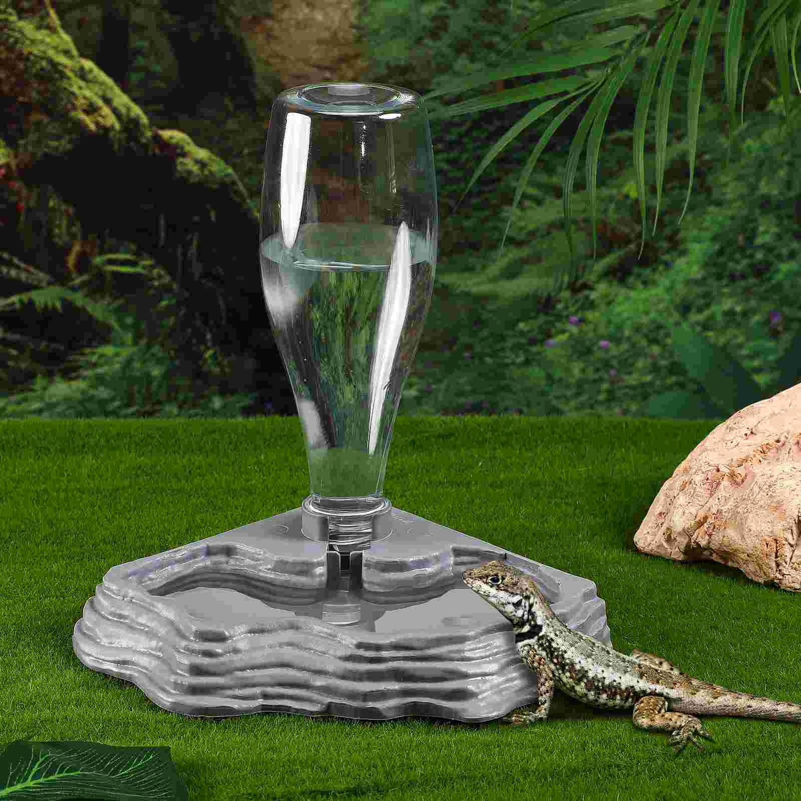 Terrarium Lizard Kennel Reptile Accessories Gecko Food and Water Dish Waterer Animals Dispenser Turtle Bearded Dragon fish Tank