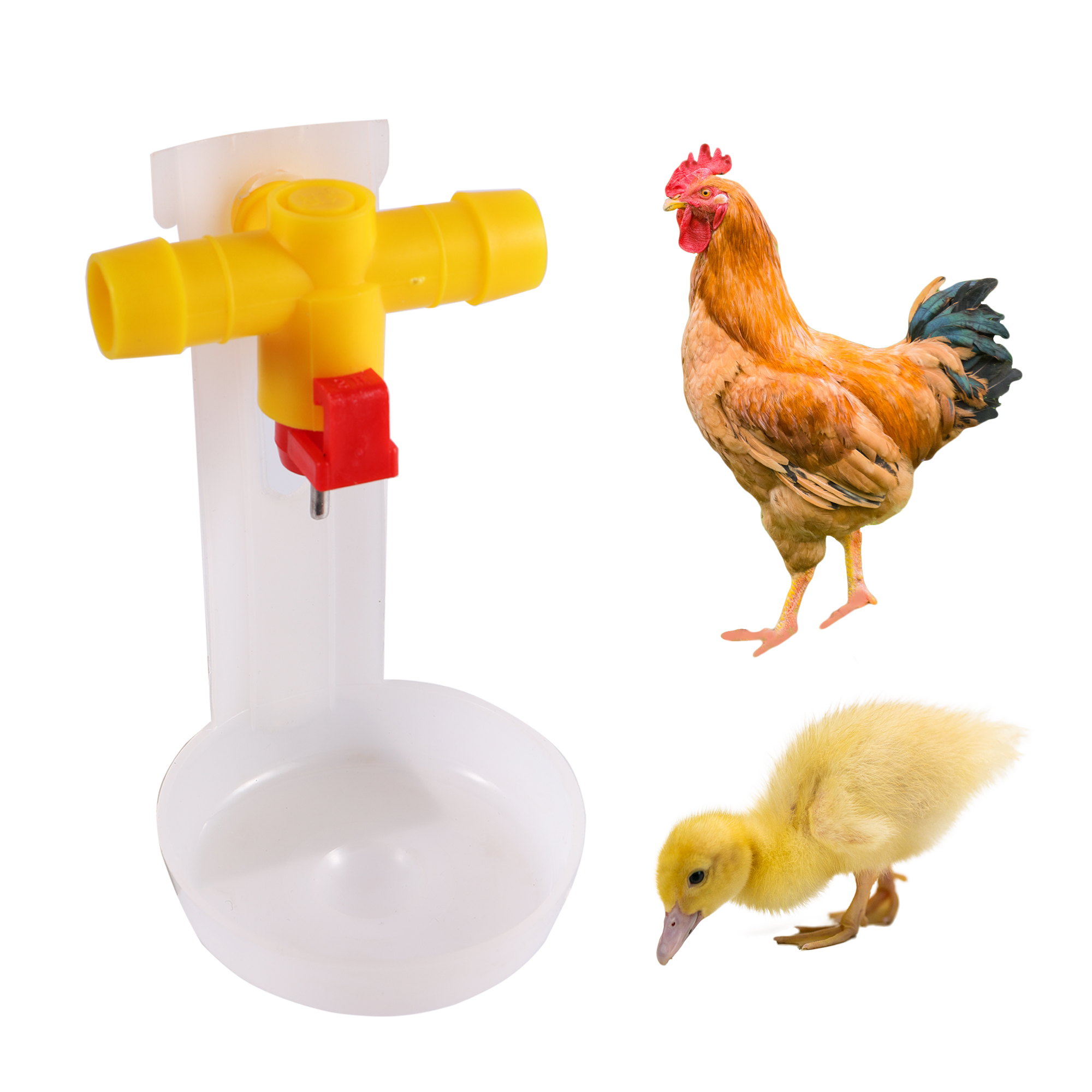 Automatic Chicken Drinking Cup Waterer Bowl Kit Farm Coop Poultry Waterer Drinking Water Feeder Poultry Feeding Supplies 50 Pcs
