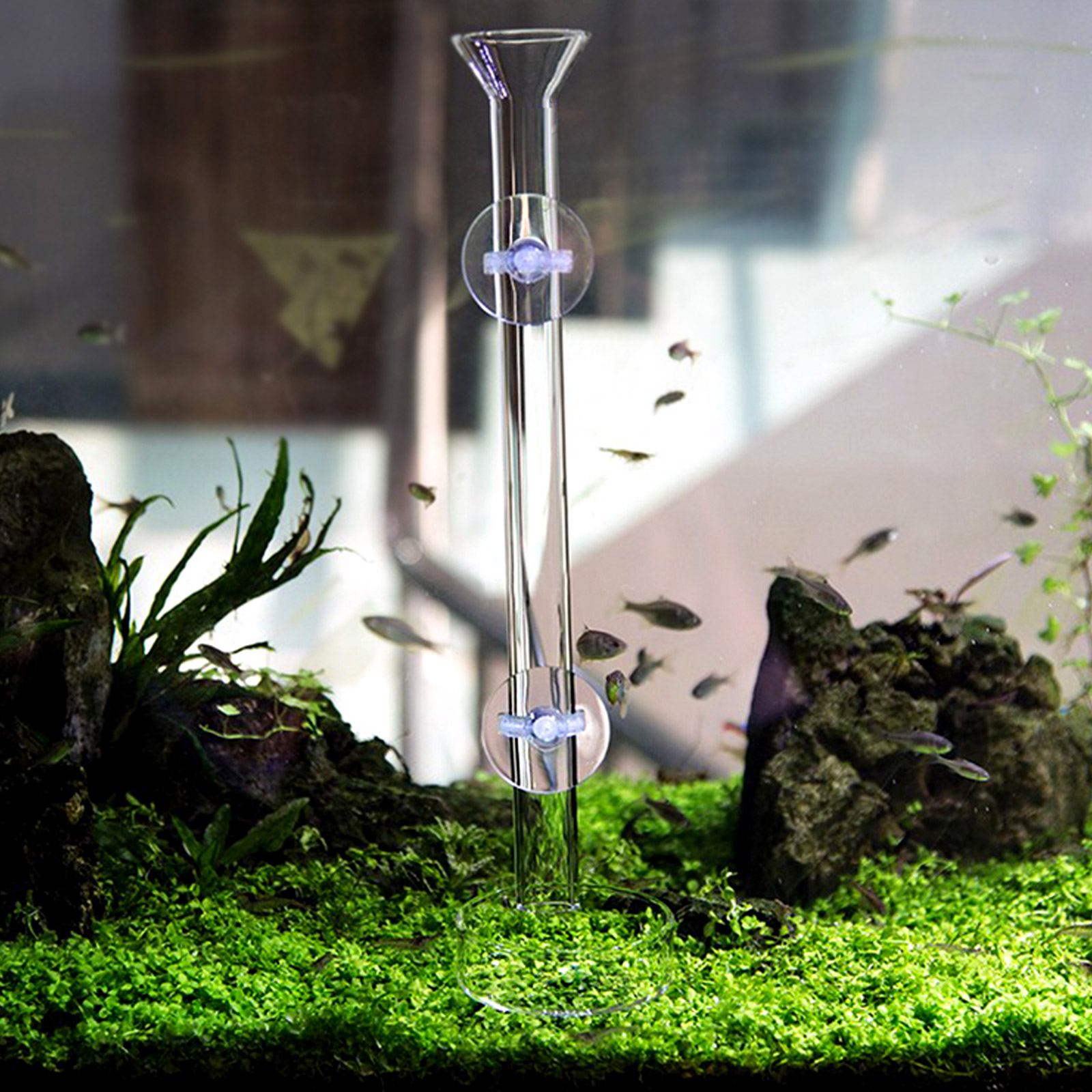 Behogar 450mm Clear Glass Aquarium Fish Shrimp Feeding Tube with Dish 2 Suction Cups for Aquarium Fish Tank Accessories