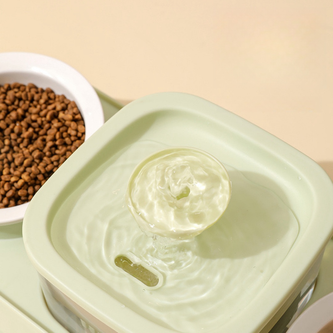 Cat Food Bowls and Water Feeder with Automatic Water Dispenser Double Dog Cat Bowls Detachable Pet Feeder