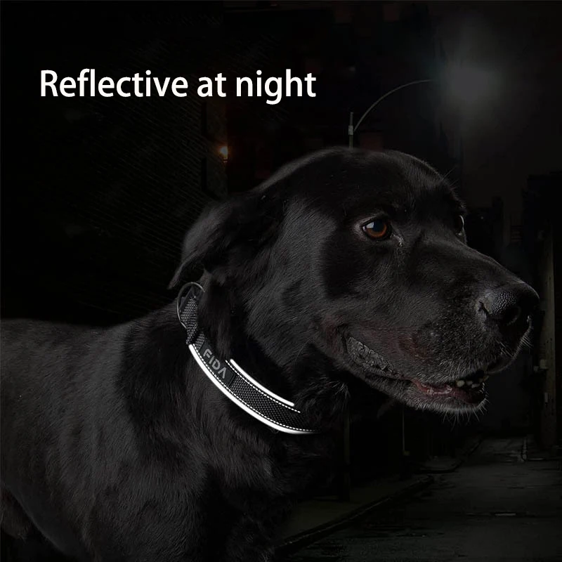 Reflective Nylon Dog Collar with Safety Buckle,Soft Padded Adjustable Heavy Duty Braided Dog Collars for Small Medium Large Dogs