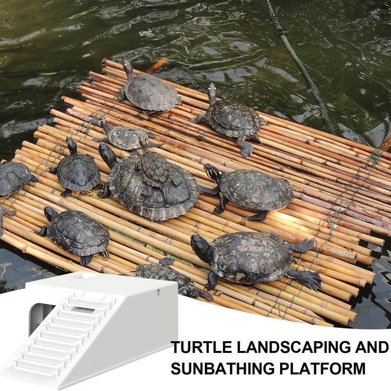 Turtle Basking Platforms Wear Resistant and Stable Reptile Hideout Climbing Platforms Shelter House with Filter Water Design