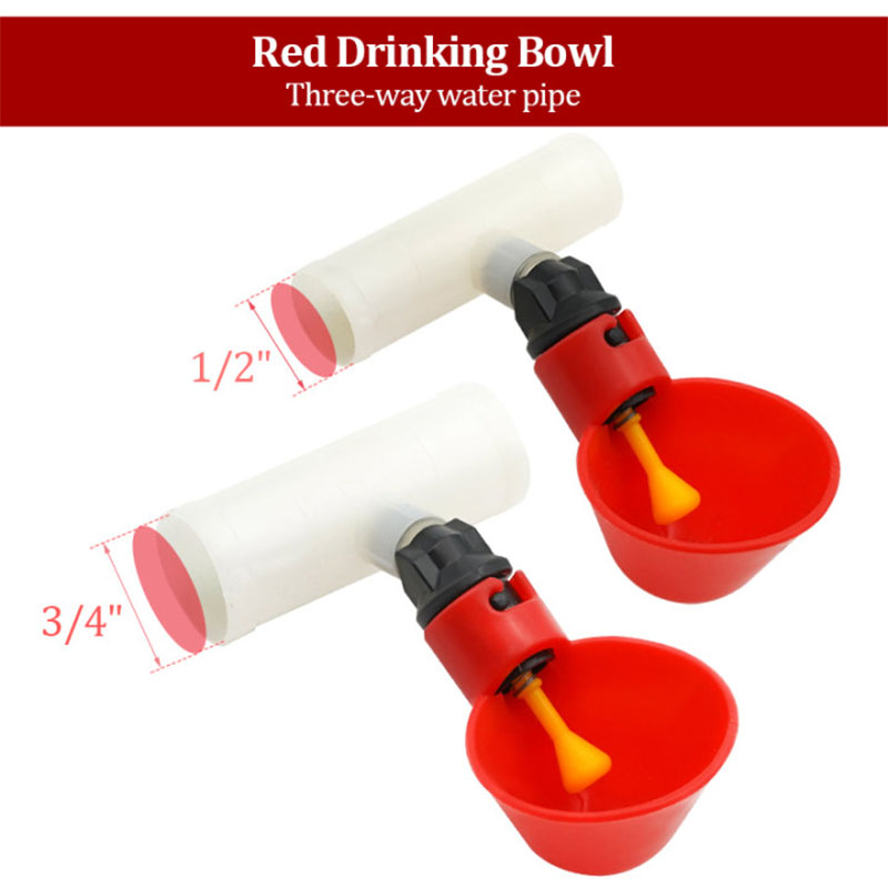 5Pcs Chicken Water Bowl Automatic Drinker Cups Thread Filling Waterer Poultry Drinking Bowl for Chickens Quail Bird Cage