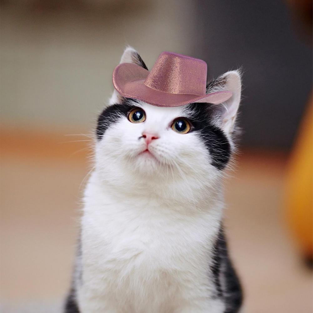 Pet Party Costume Pet Cowboy Hat Dog Cap Fun Outdoor Accessories for Small Dogs Cats for Cosplay Beach Parties Christmas Street
