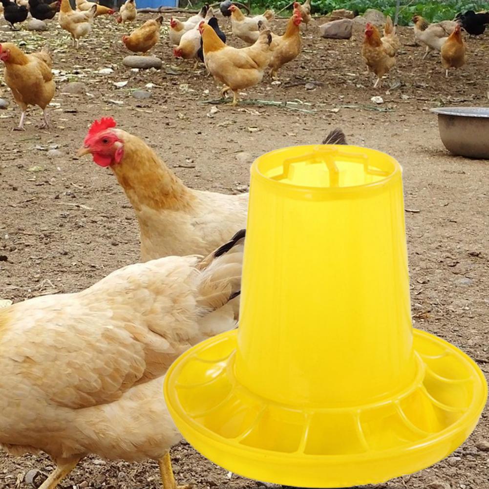 Convenient Chicken Feed Easy Use Anti-scratch Portable Fall Resistant Hen Feed Bucket for Garden