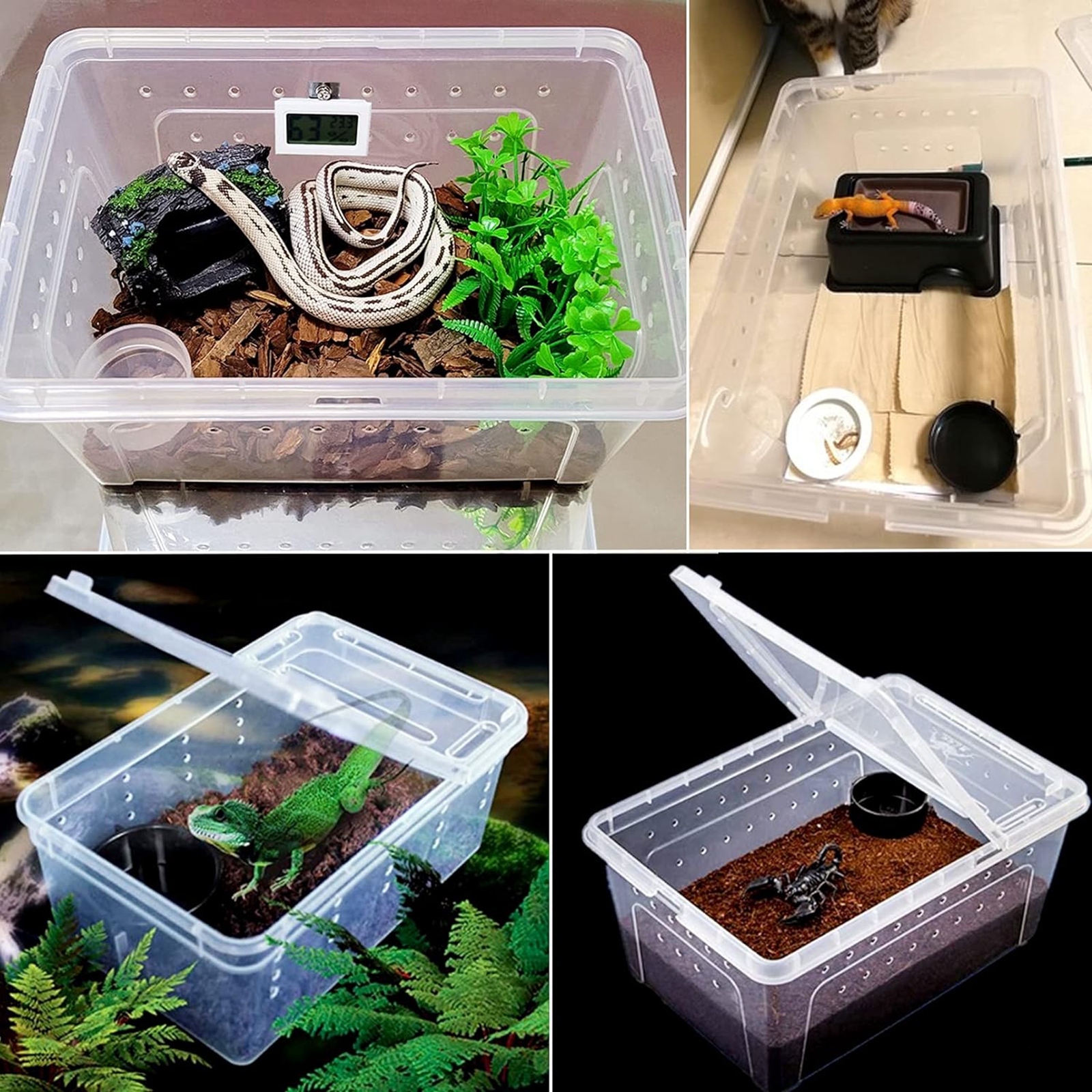 Reptile Breeding Box Reptile Terrarium Transparent Transparent Animal Habitat Cage for Snake Gecko Silkworm Reptile