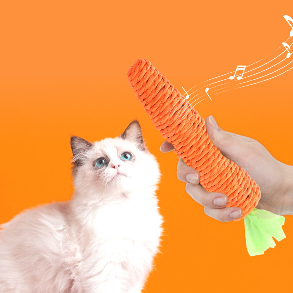 Carrot Cat Toy Interactive Cat Toys for Indoor Cats