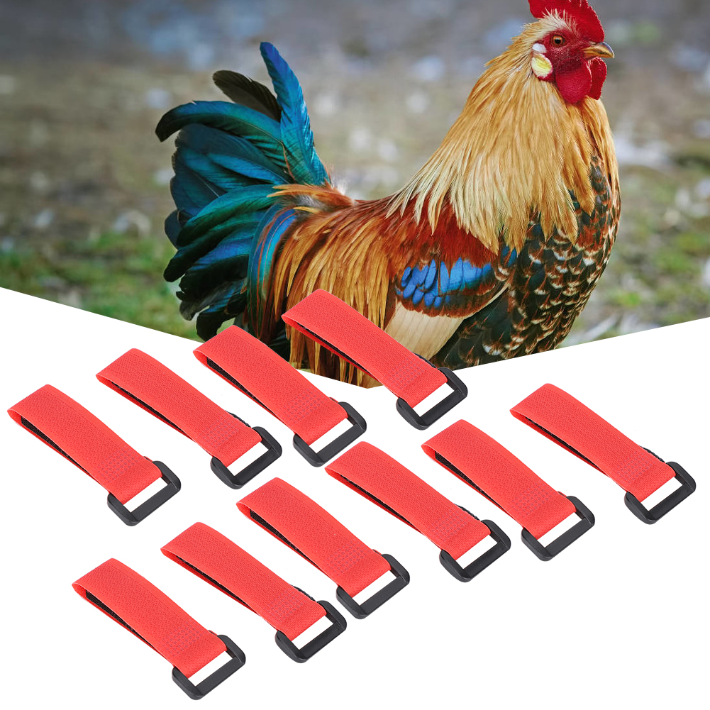 5 Bag AntiHook Rooster Nylon Collar Noise Neck Strap Necklace Pet Chicken Supply