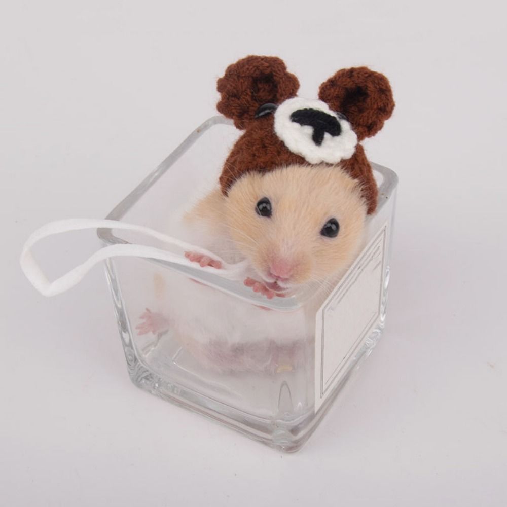Cute Handmade Knitted Hat Hamster Decoration Chipmunk Guinea Pig Hamster Accessories Hamster Toy Hamster Supplies Small Pet Hat