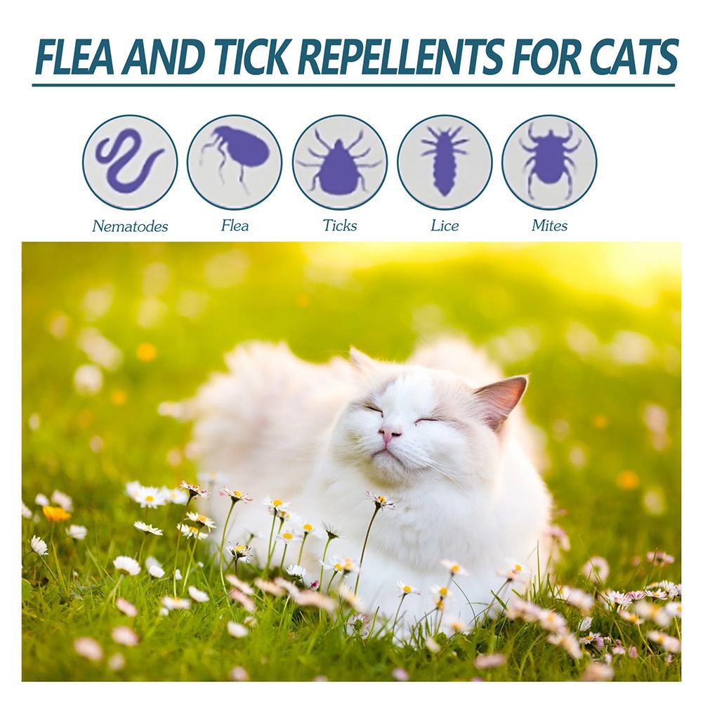 Flea Killer Drops Anti Fleas Cats Ticks Lice Mite Removal Relieve Itching Dogs Ringworm Treatment Pet Removal Drops