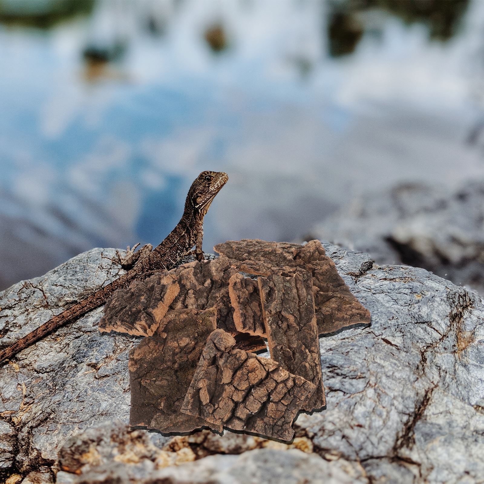 10pcs 5-9cm Natural Cork Bark Flat Reptile Terrarium Background Decor Artificial Bark Reptile Basking Platform Bark Decoration