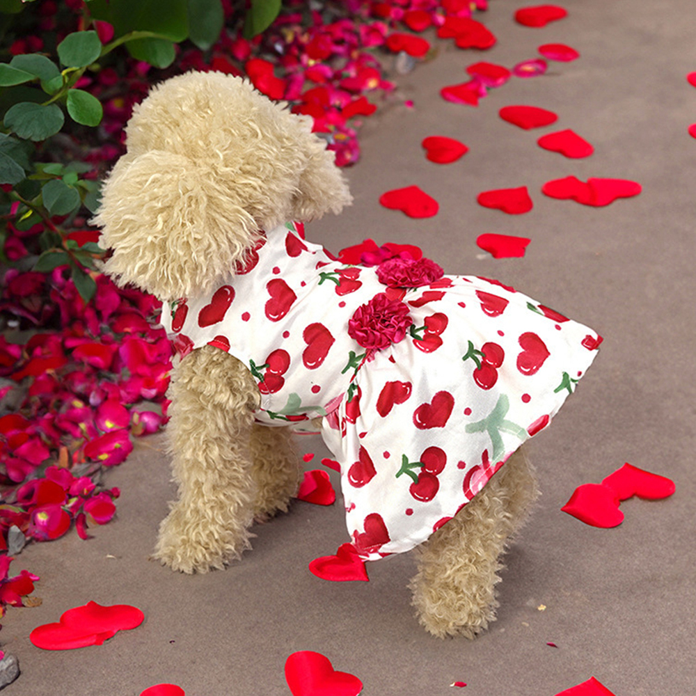 Dog Princess Dress Kitten Pet Skirt Spring Summer Cute Dog Dress Bow Lace Dog Clothes for Small Medium Puppy Poodle Chihuahua