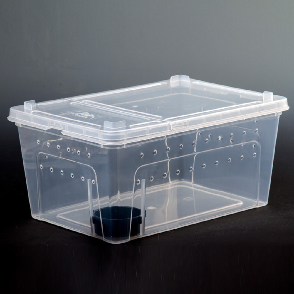 1pc Plastic Reptile Living Box Terrarium Transparent Reptiles Insect Container Transport Amphibians Breeding Food Feeding Box