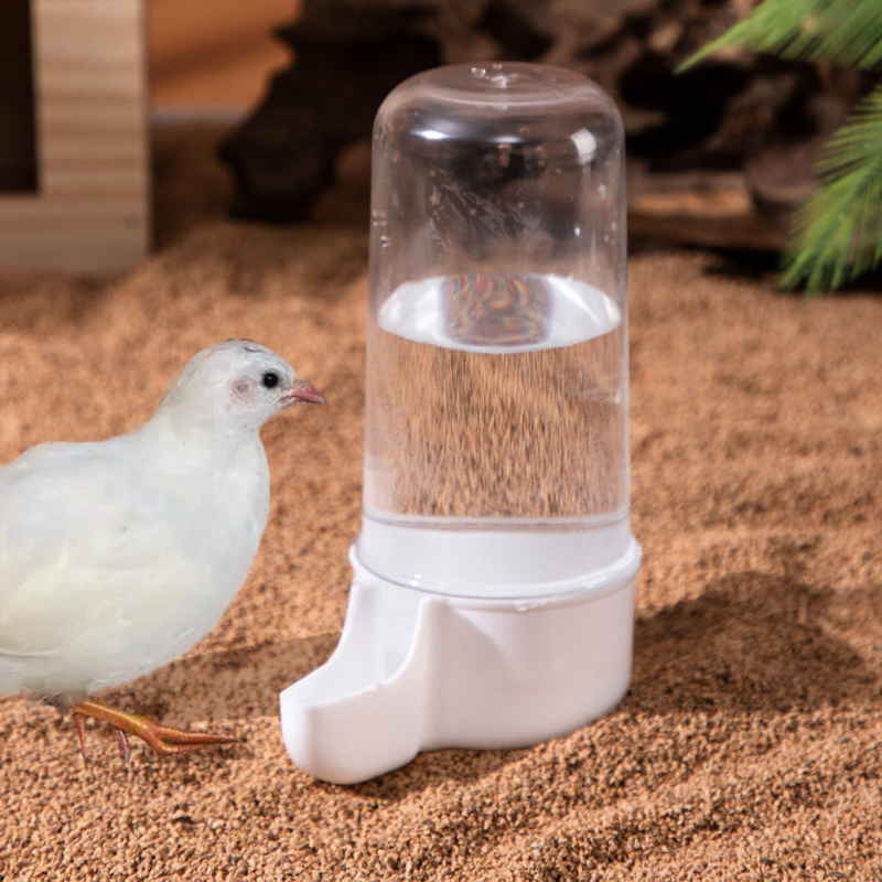 Farm Animals Rudin Chicken Feeder Automatic Water Dispenser Food Trough Large Capacity Bowl Poultry Feeding Supplies