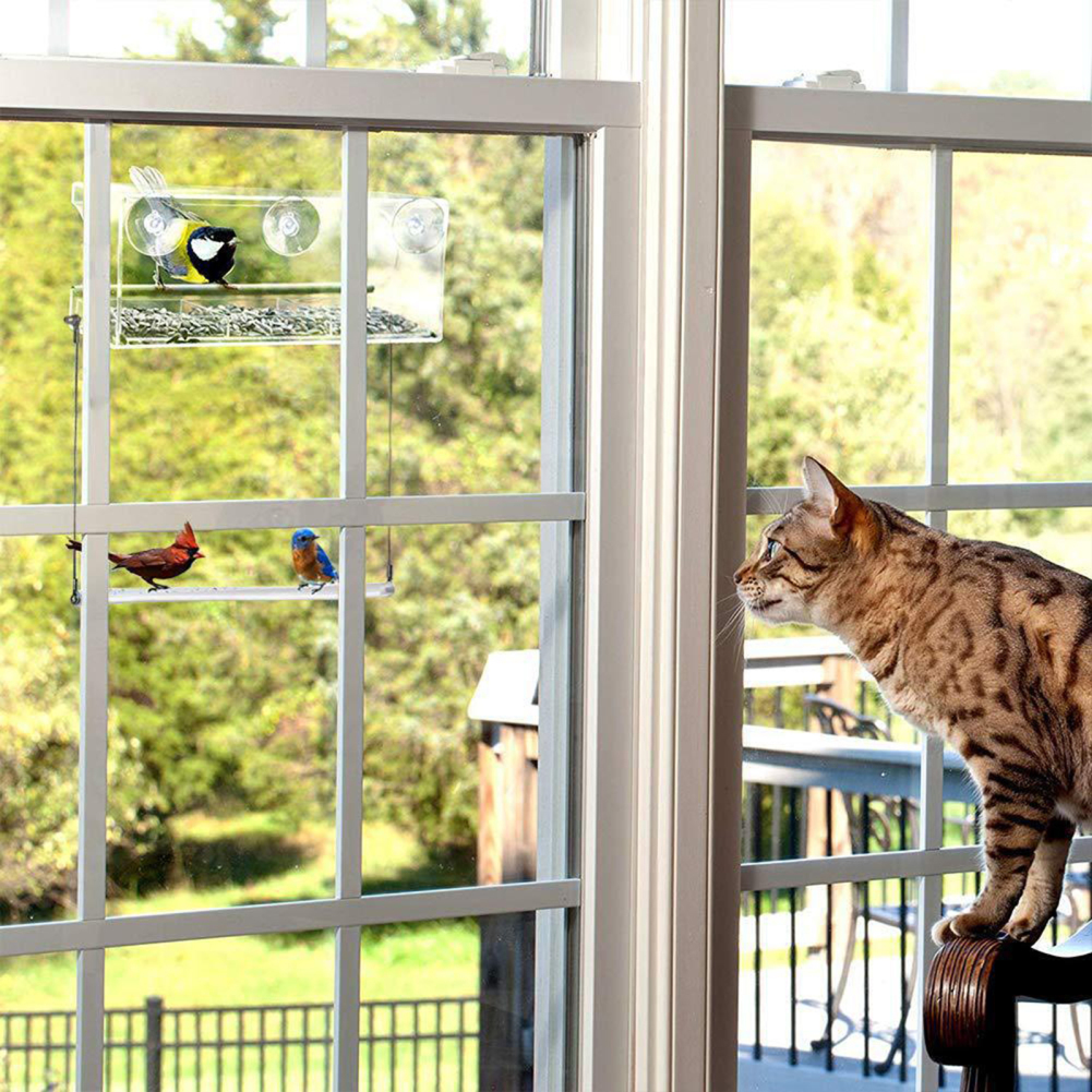 Window Bird Feeders for Outsid for Viewing With Removable Feed Tray And Super Strong Suction Cups Clear Acrylic Bird Feeder