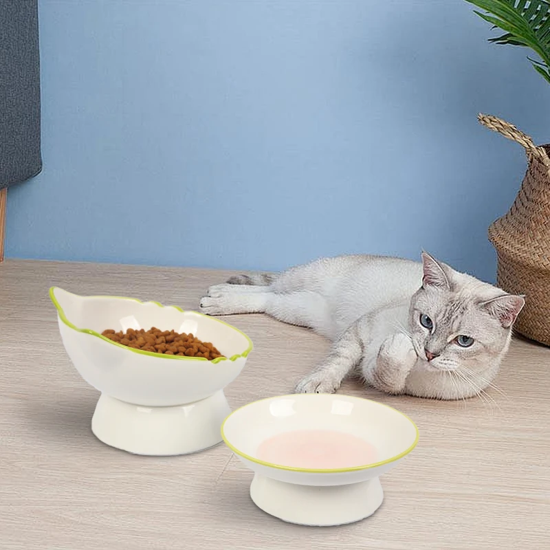 Raised Cat Bowl Elevated Cat Food Bowl Stable Protect Pet's Spine Durable Pet Feeding Dish Kitten Water Bowl for Cats Dogs