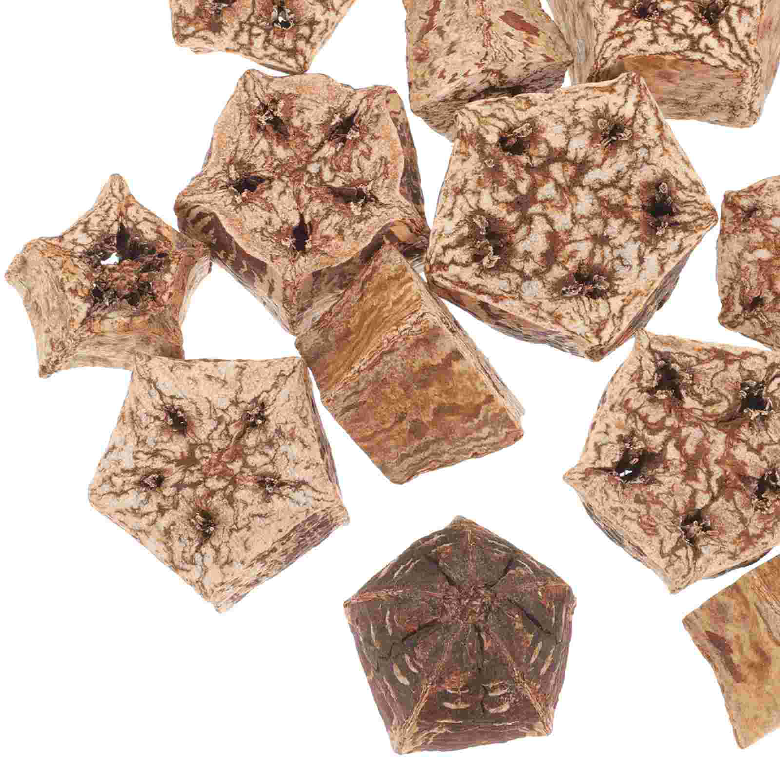 12 Pcs Bite Parrot Chewing Fruit Parakeet Cage Accessories Bird Dried Fruits Toys for Parrots