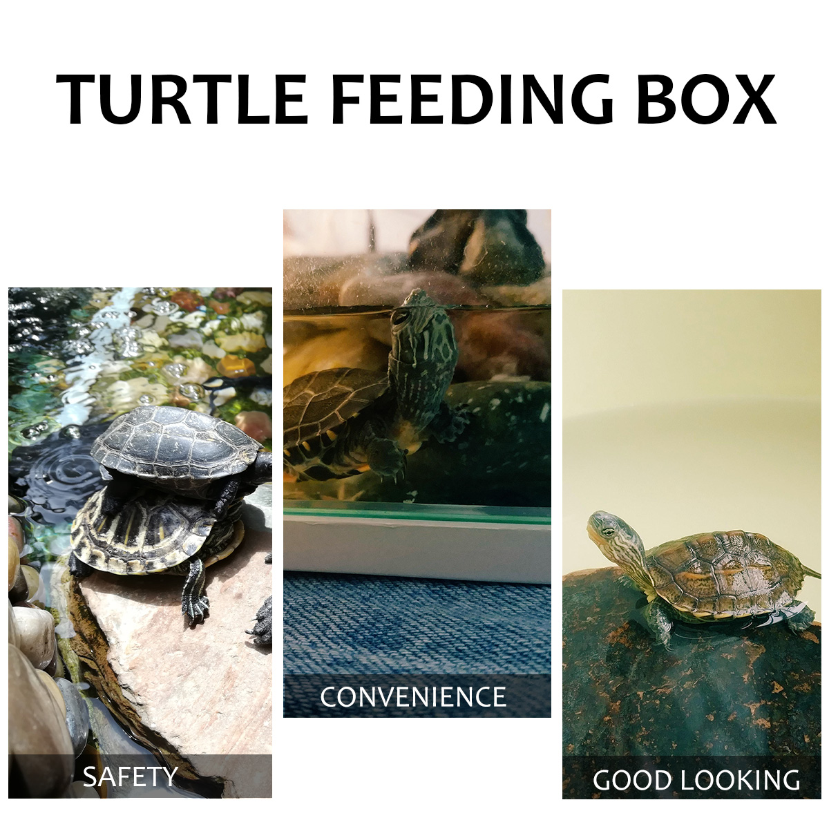 House for Water Turtles Aquarium Fish Tank Reptile Large Aquariums Bearded Dragon Small Accessories Box Land