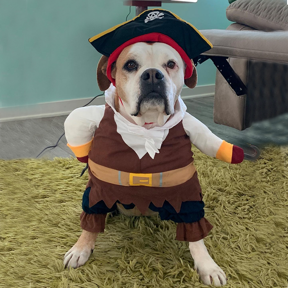 Dog Cat Funny Cosplay Clothes For Small Medium Dogs Cats Creative Novelty Halloween Pirate Costume French Bulldog Jacket Coat