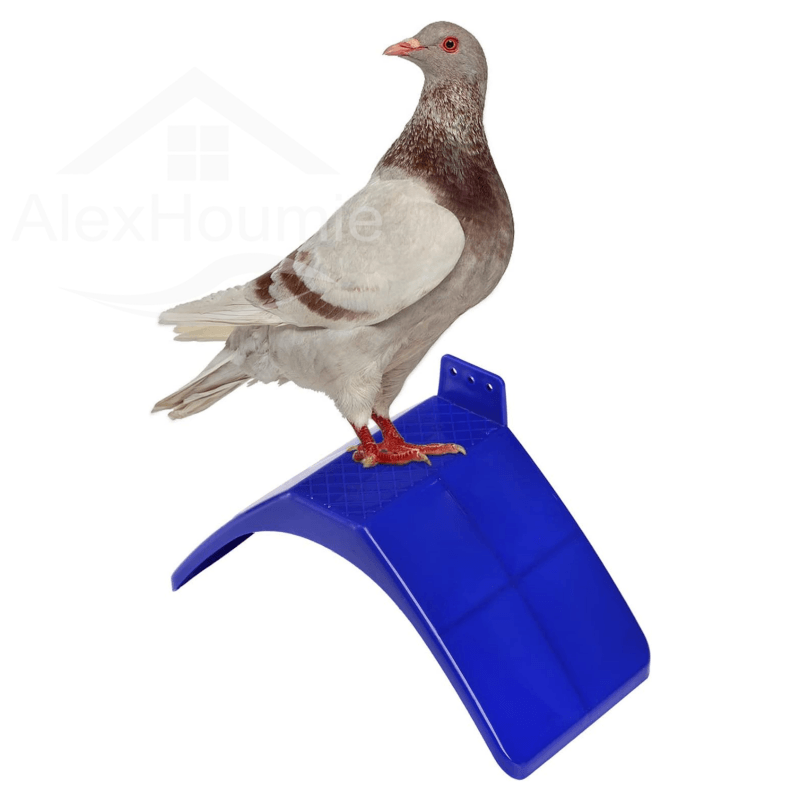 20 Pcs Dove Rest Stand Lightweight Pigeon Perches Plastic Birds Roost Holder Pigeons Dwelling Frame for Parrots and Other Birds