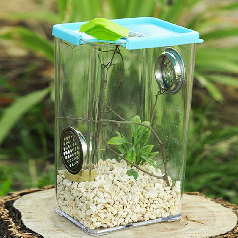 Reptile Breeding Box Clear Acrylic Terrarium Feeding Box With Stainless Steel Ventilation Nets For Spider Scorpion Snail Reptile