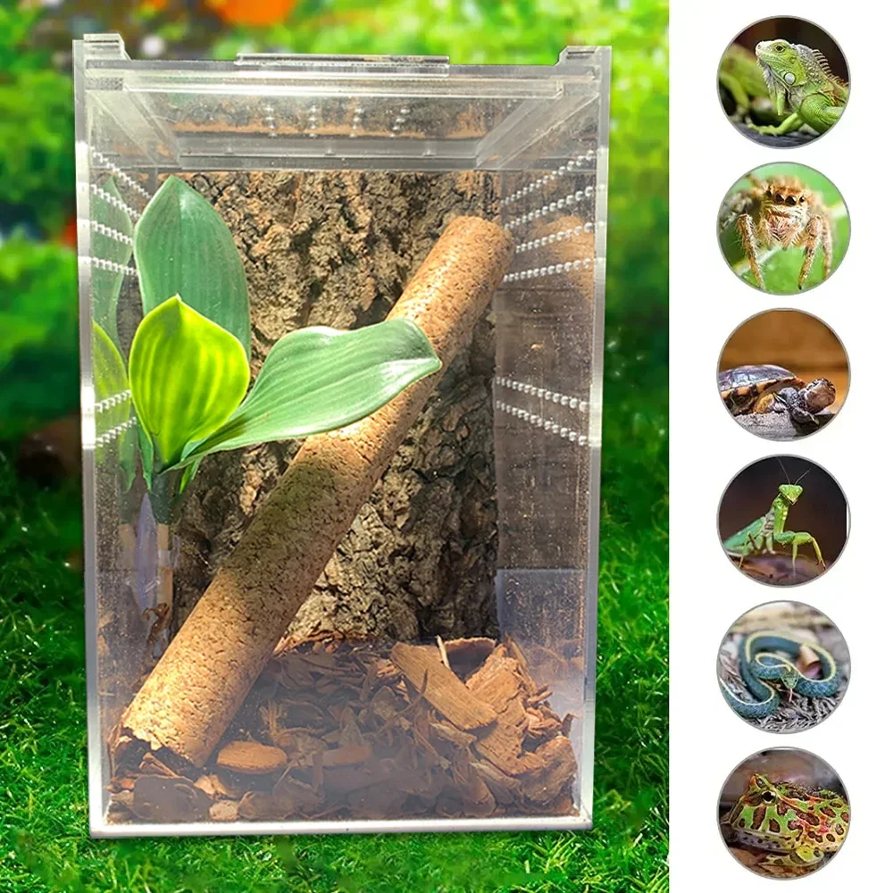 Acrylic Reptile Breeding Box Spider Lizard Amphibian Transparent Breeding Box Leakproof Pet Habitat Arboreal Wolf Spider Fence
