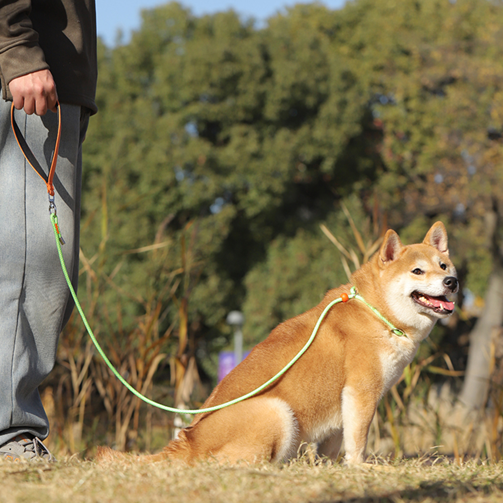 Dog Leash Dog Training Leash No-Pull Slip Leash Outdoor Walking Training Leash For Small Medium Large Dogs