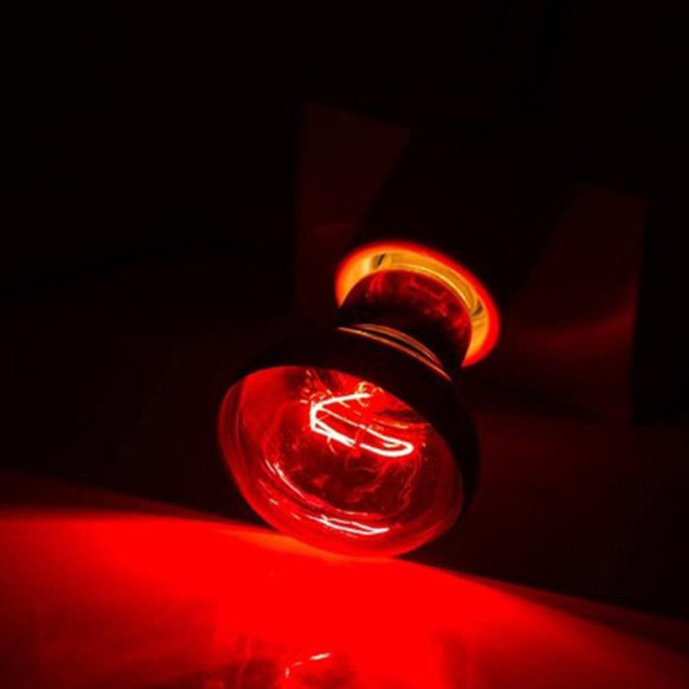 E27 Amphibian Snake Reptile Light Bulb Heat Night Light Day Poultry Heating Bulb 100W 75W 60W 50W 40W 25W