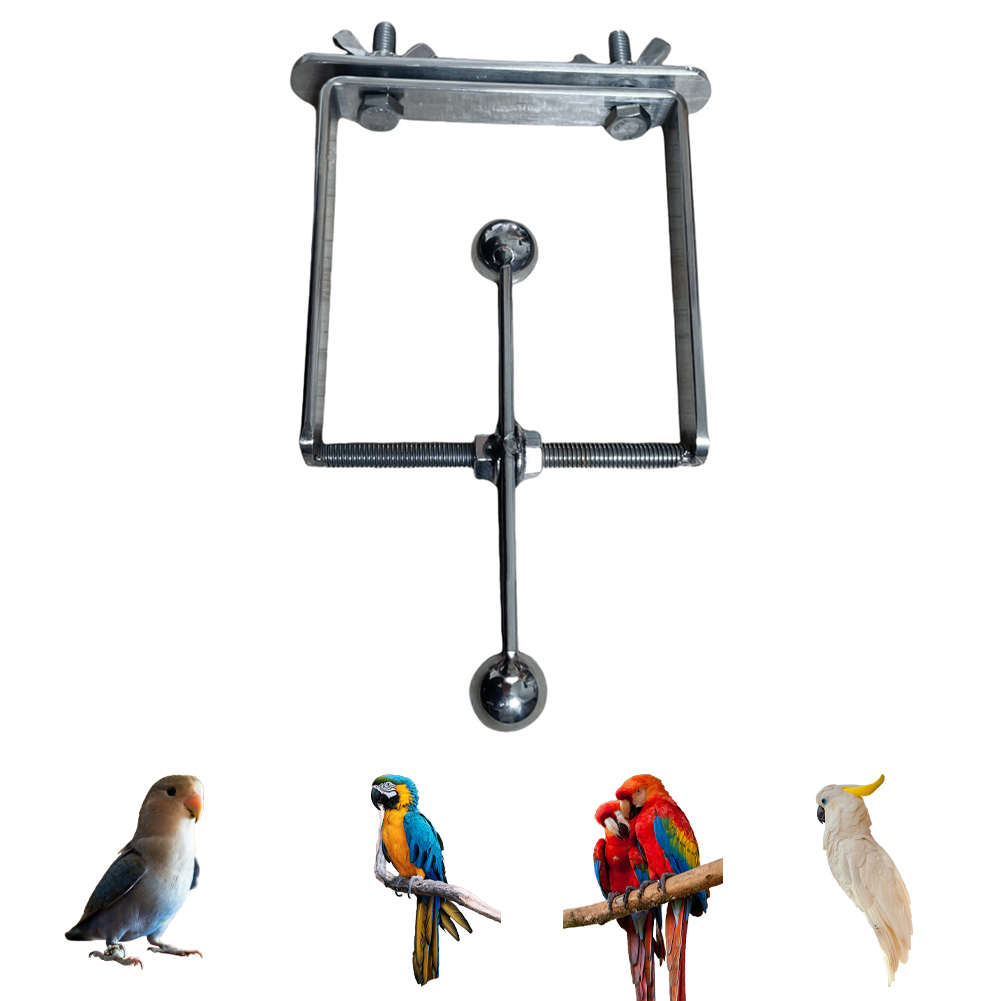 Bird Perch Stainless Steel Stand Parrot Seesaw Toy Bird Interactive Perch Stand Bird Cage Accessories for Parakeet Cockatiel