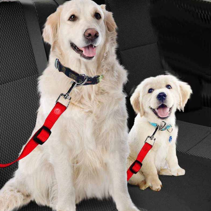 Pet products car seat belt dog leash with buffer elastic reflective safety rope leash dog rope