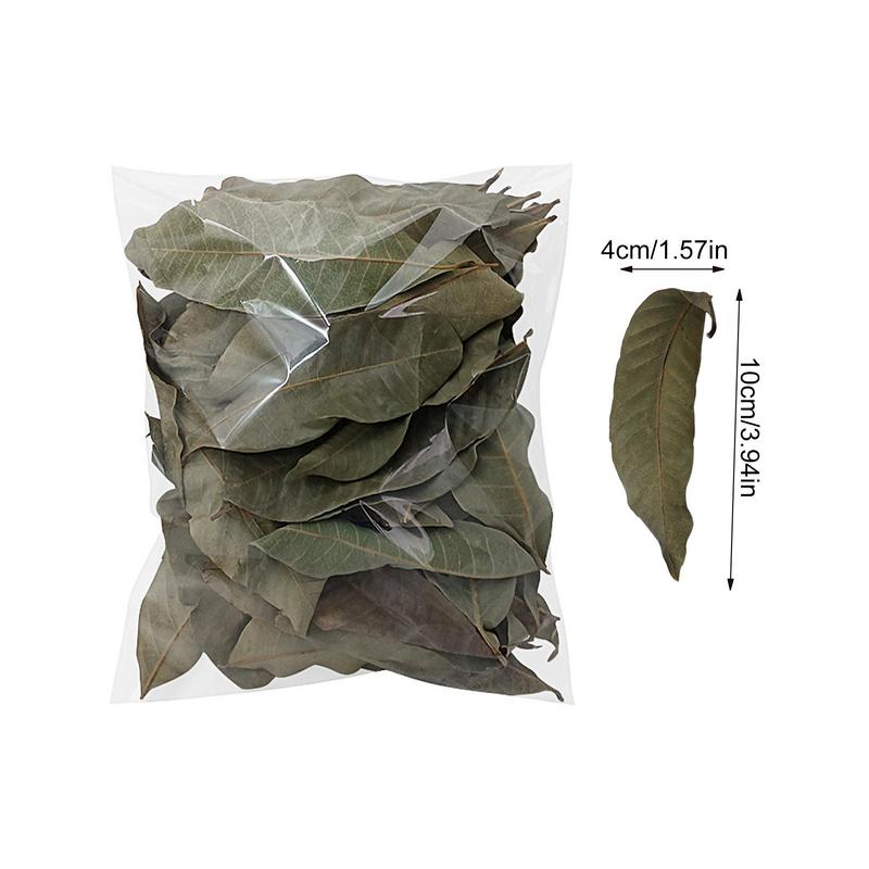 50 pieces Turtle Longan Leaf Betta Fish Toys Aquarium Leaf Longan Leaves Create Realistic Habitat Improve Water Quality Aquarium