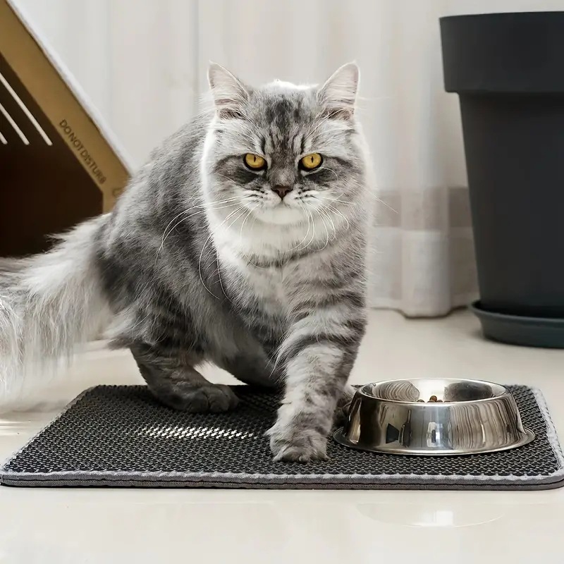 Pet Cat Litter Mat Waterproof Double Layer Cat Litter Trapping Pet Litter Box Mat Clean Pad Products For Cats Accessories