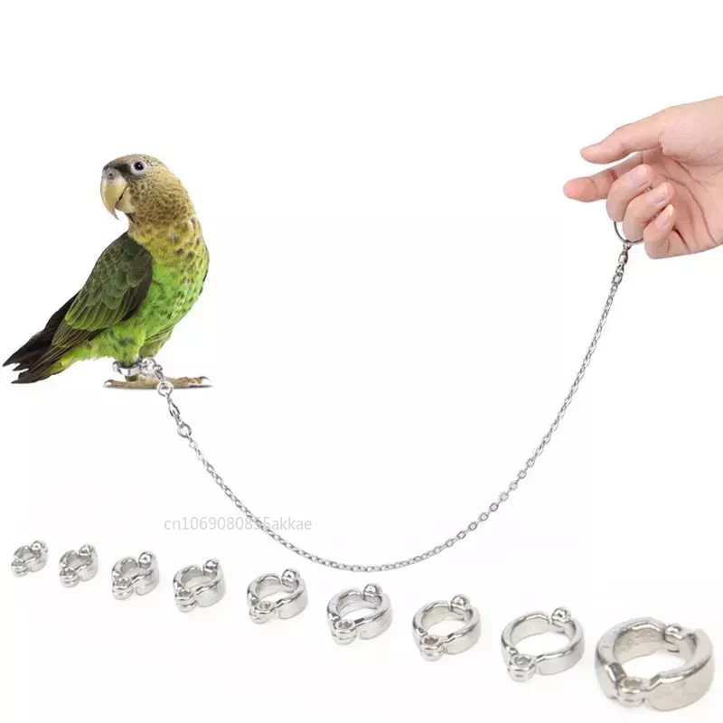 1Pc Parrot Foot Rings Metal Pet Bird Leg Rings Outdoor Fly Training Activity Anti-Lost Opening Clip Leash Accessories 4-12mm