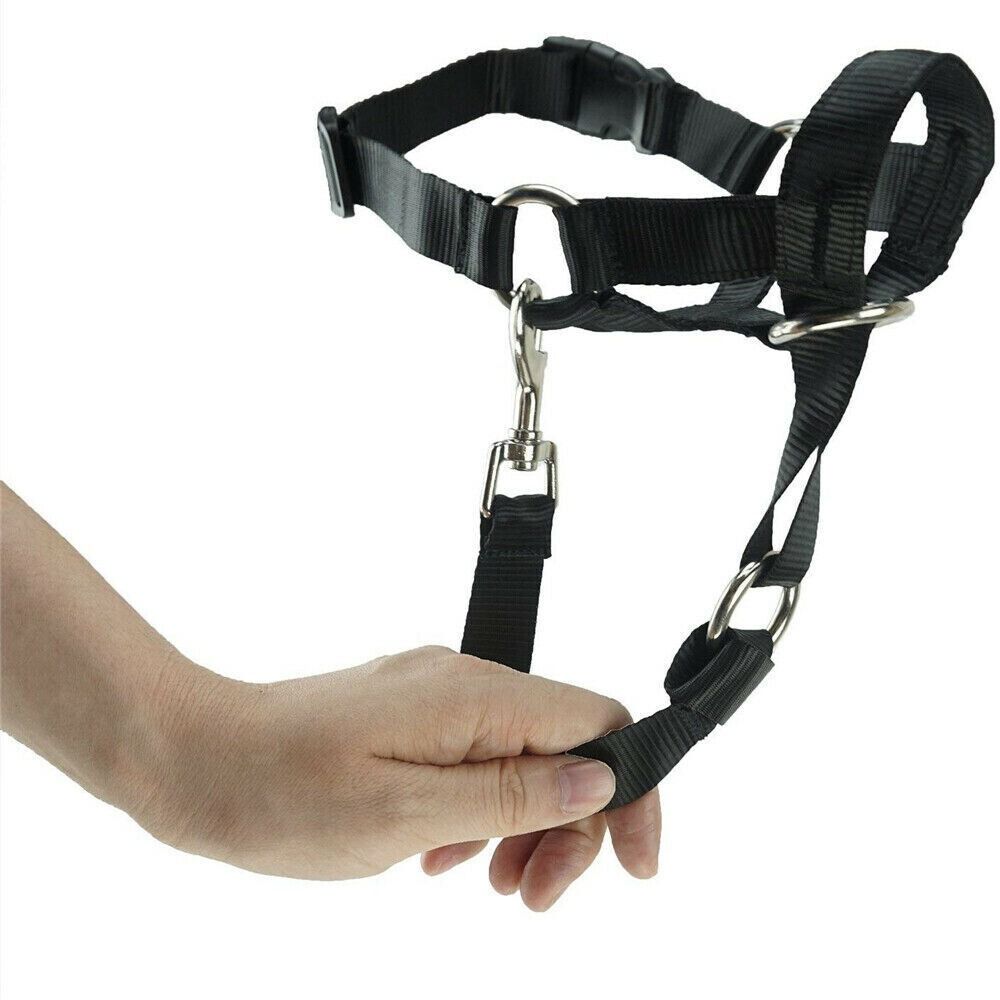 Harness Adjustable Muzzle Dog Halter Leader Belt Dog Collar Head Collar No Pull Bite Straps Training Leash Leader