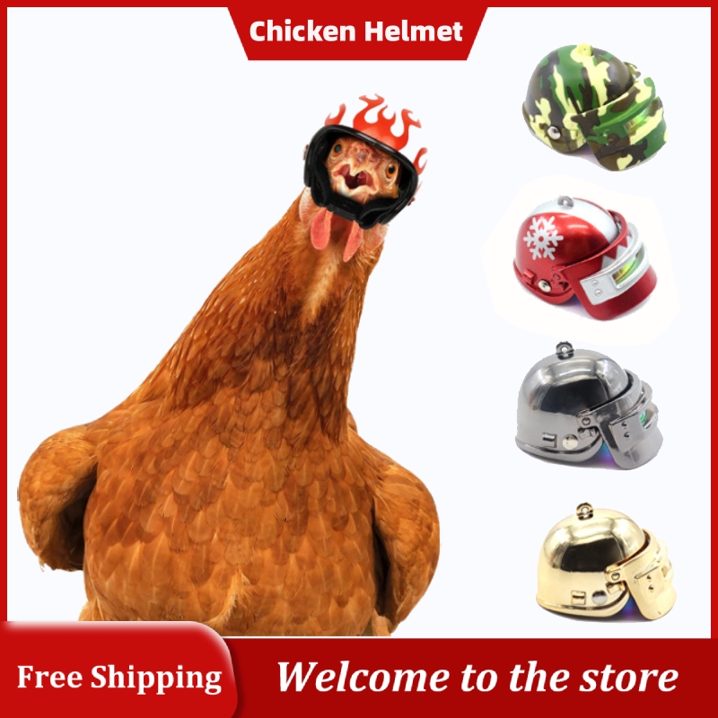 Chicken Helmet Bird Protect Cap Small Hard Birds Quail Pigeon Hat Headgear Protective Gear Pet Supplies Hens Accessories