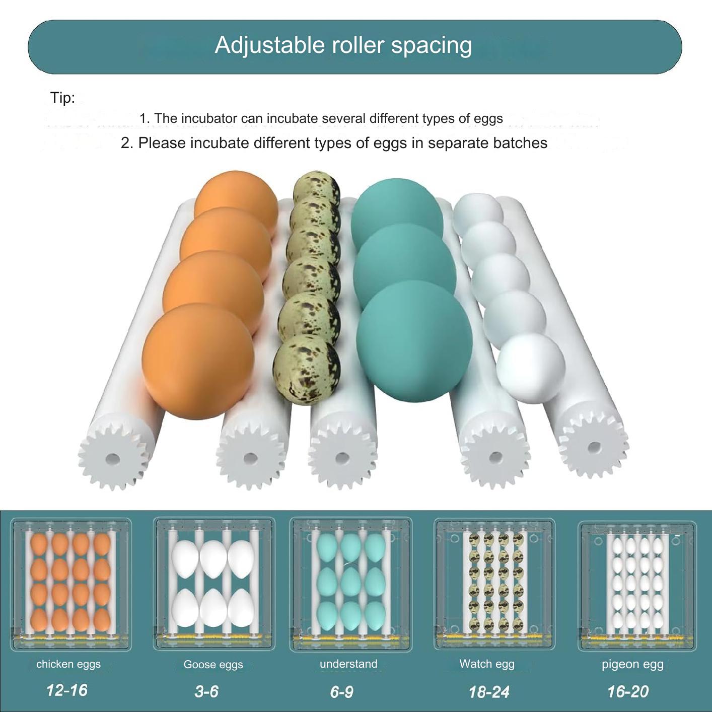 EU Plug Eggs Incubator 16/36 Eggs Digita Mini Automatie Incubatores for Hatching Goose Quail Chicken Egg Hatching