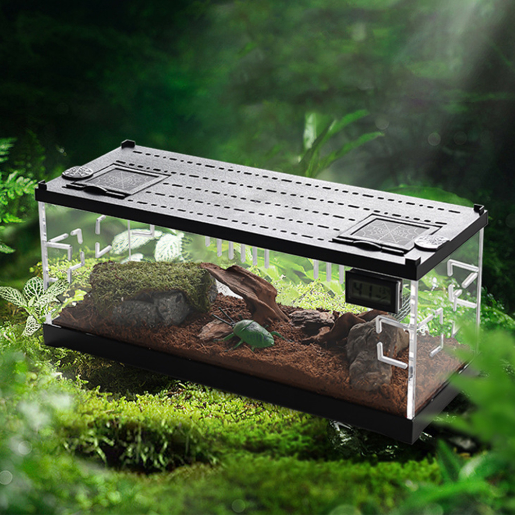 Reptile Terrariums Enclosures Habitat Terrarium Enclosure Cage Reptile Feeding Transparent Amphibians Habitat Terrarium Tank